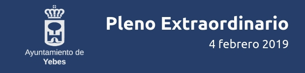 Plenos-4-2-2019